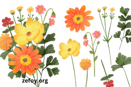 Clipart-5ftz0amu-Rq-Flower