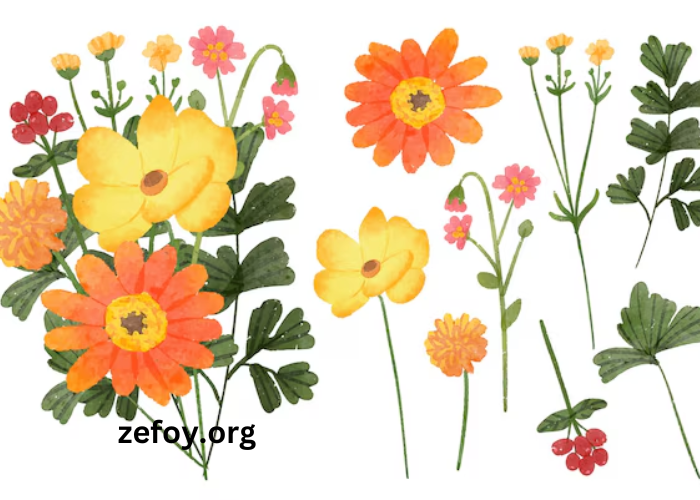 Clipart-5ftz0amu-Rq-Flower