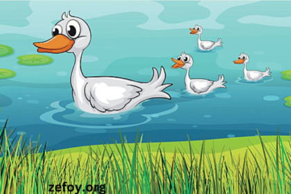 Understanding The Charm Of Clipart1pbp54ha4qe= Duck