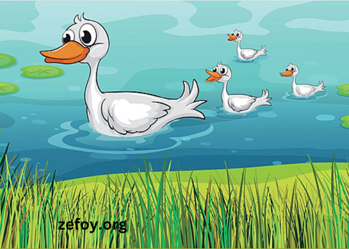 Understanding The Charm Of Clipart1pbp54ha4qe= Duck