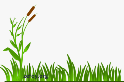 clipart254b5v0-neu= grass