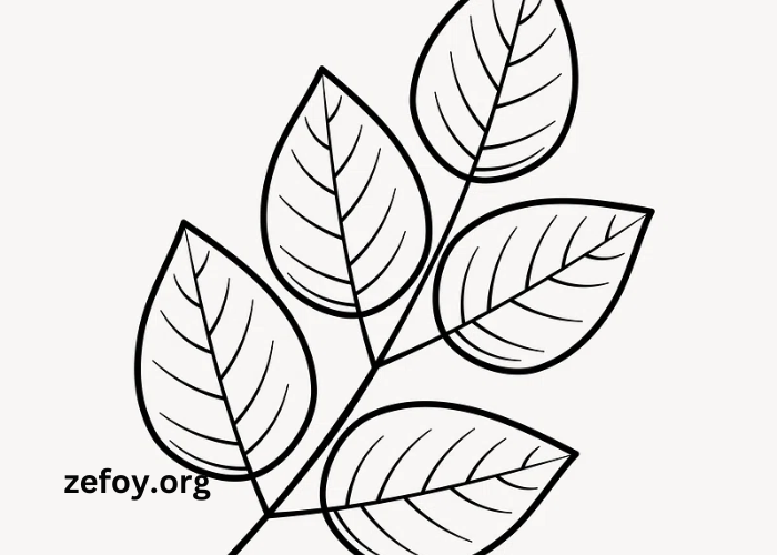 clipart5oesxuispmg= leaf